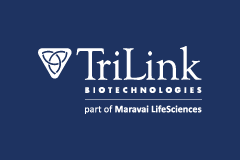 TriLink｜革命性 Cap analog ── CleanCap M6：引領 mRNA 高效轉譯新境界