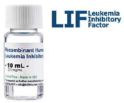 Recombinant Human Leukemia Inhibitory Factor
