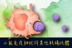 【Bio X Cell】Mouse Immune Cell Specific Depletion Antibodies