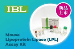 【IBL】新品上市：Mouse Lipoprotein Lipase (LPL) Assay Kit