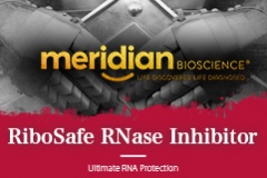 【meridian Bioscience】RiboSafe RNase Inhibitor - 提供RNA終極保護