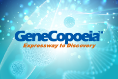 GeneCopoeia｜刊登於《Science》！ OmicsLink™ ORF expression clone 助力解密 T 細胞休眠關鍵