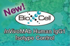 【捷昇】Bio X Cell InVivoMAb™ Human lgG1 Isotype Control 新品上市