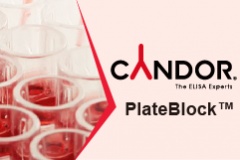 【CANDOR】新品通知 PlateBlock™