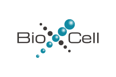 Bio X Cell｜研究聚焦：比較 PD-1 和 PD-L1 小鼠單株抗體