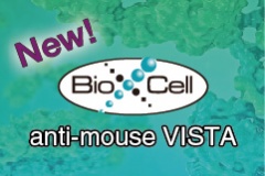 【Bio X Cell】anti-mouse VISTA - 新品上市！