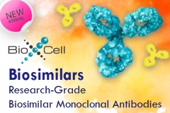 【Bio X Cell】新品介紹 InVivoSIM™ Biosimilar antibody