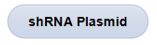 shRNA Plasmid