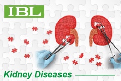 【IBL】Kidney Diseases