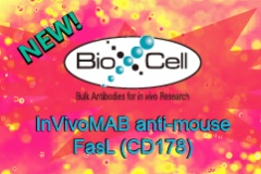 【Bio X Cell】InVivoMAb anti-mouse FasL (CD178) - 新品推薦！