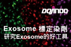 【Dojindo】Exosome 標定染劑，研究Exosome的好工具