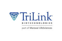 TriLink｜研究聚焦：新型 mRNA 傳遞系統 ── 提供器官的特異性標靶